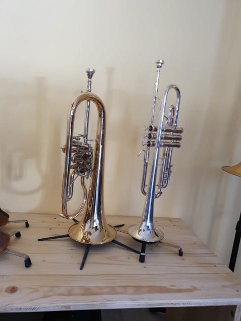 Ein Tenorhorn und eine Trompete stehen auf Ständern vor einer schlichten Wand.